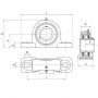 560ebf68-12c9-11df-b760-000fea158260_5